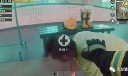 鸡的最新爆料视频大全,最新爆料视频大盘点