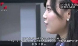 岛国色情在线观看,揭秘网络色情产业的暗流涌动